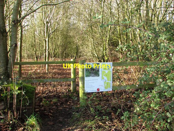 Photo 6"x4" Path into Poringland Community Wood Poringland c2015