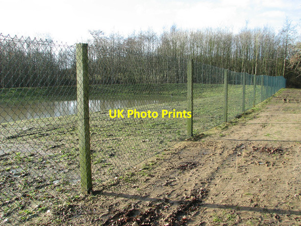 Photo 6"x4" Path into Poringland Community Wood Poringland c2015