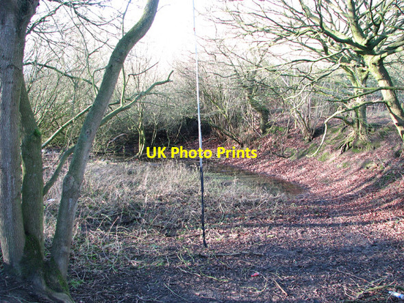 Photo 6"x4" Dried out pond in Poringland Community Wood Poringland c2015