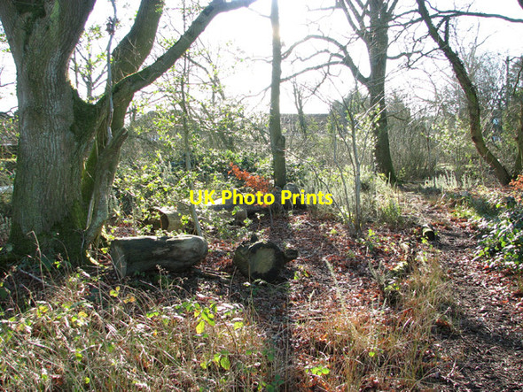 Photo 6"x4" Path by the Raking Pit Arminghall c2015