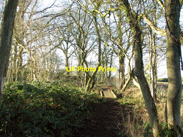 Photo 6"x4" Path on the northern edge of the Raking Pit Arminghall c2015