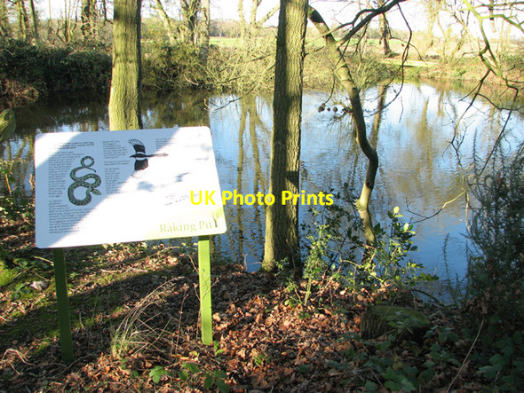 Photo 6"x4" Information board at the Raking Pit Arminghall c2015