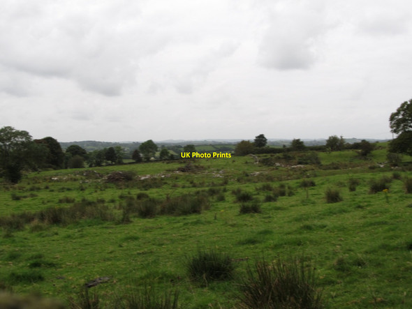 Photo 6"x4" Rough grazing on the west side of Drumalt Road Cullyhanna c2014