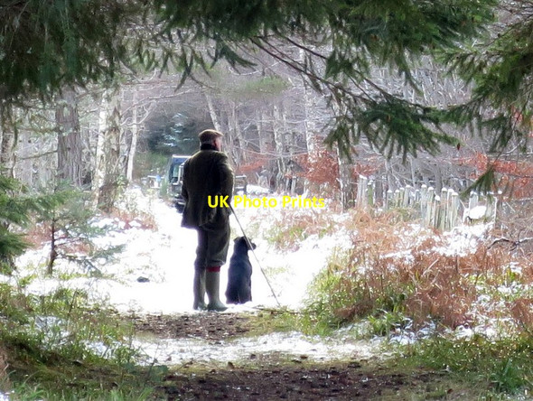 Photo 6"x4" Man and dog near Scurrypool Woodside\/NJ0555 c2015