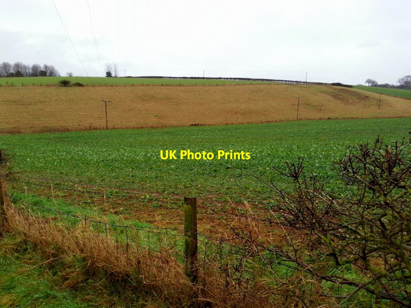 Photo 6"x4" Cropping a sandstone dry valley Crow Hill\/SO6326 c2015