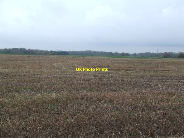 Photo 6"x4" Open Field North Cove c2014