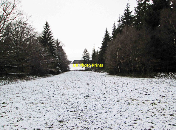 Photo 6"x4" Snow on the ground in the Wyre Forest, near Buttonoak Pound Green\/SO7578 c2015