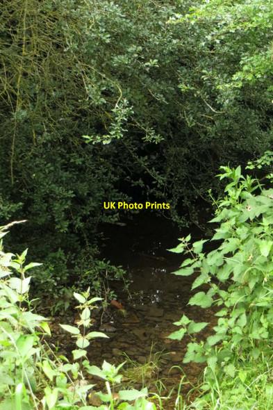 Photo 6"x4" River Bure in Bure Park Community Woodland Bicester c2014