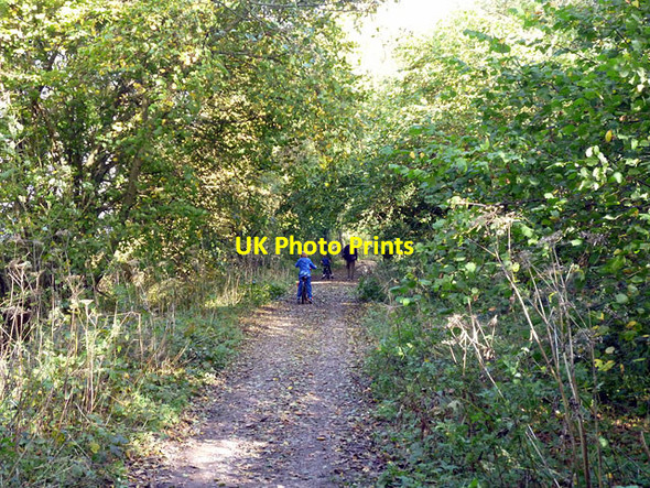 Photo 6"x4" Worth Way Felbridge c2014