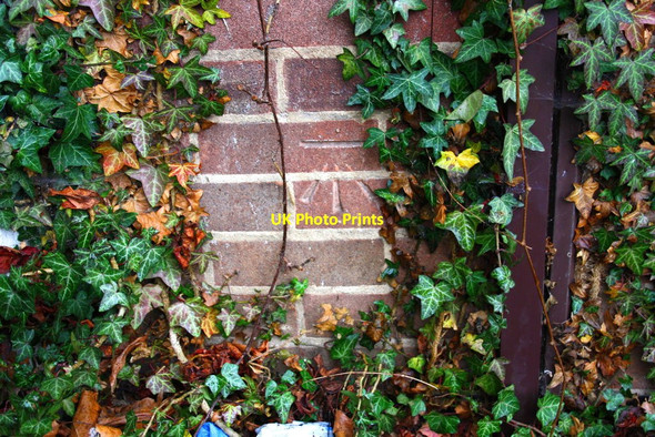 Photo 6"x4" Benchmark on #105 Wharf Street Leicester c2015