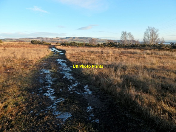 Photo 6"x4" Tracks on Carman Muir Alexandria c2014 P1