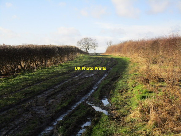 Photo 6"x4" Back Lane West Markham c2015