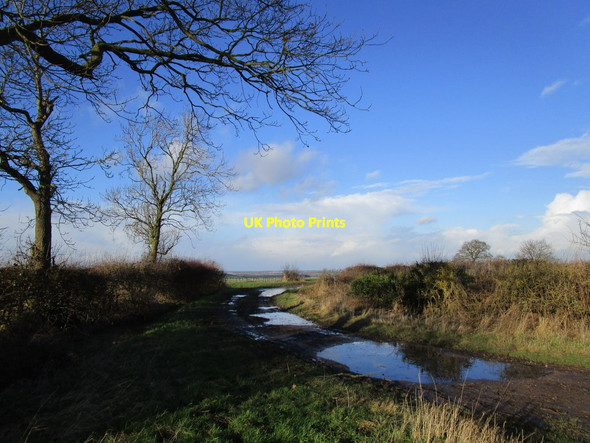 Photo 6"x4" Wood Lane West Markham c2015