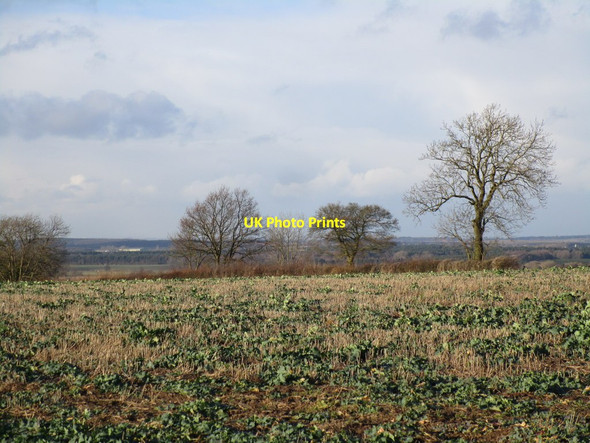 Photo 6"x4" View towards Leys Lane West Markham c2015