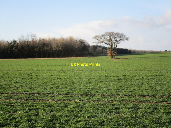 Photo 6"x4" View towards Farleys Wood Kirton\/SK6969 c2015