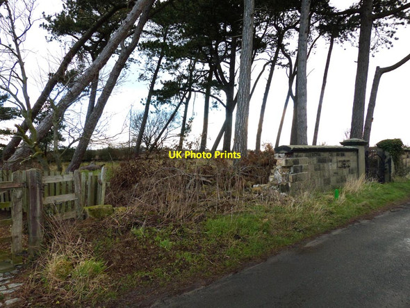 Photo 6"x4" Friends Burial Ground (Quaker) Scarth Hill c2015