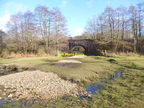 Photo 6"x4" Fulliford Passage Ashurst\/SU3310 c2015