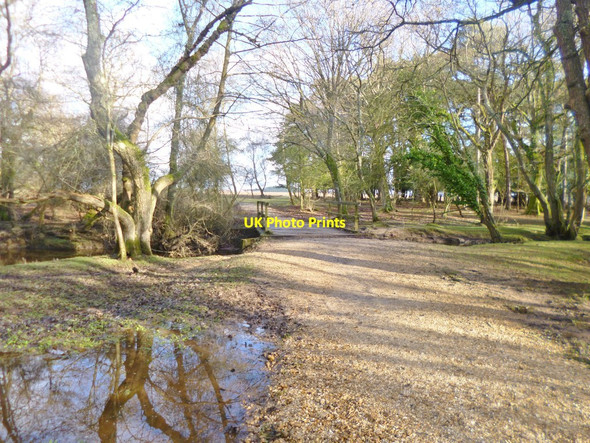 Photo 6"x4" Fulliford, bridge Ashurst\/SU3310 c2015