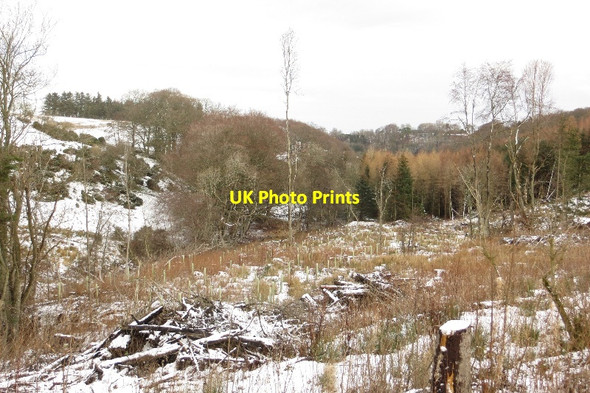 Photo 6"x4" Felled area, Fala Dam Fala\/NT4361 c2015