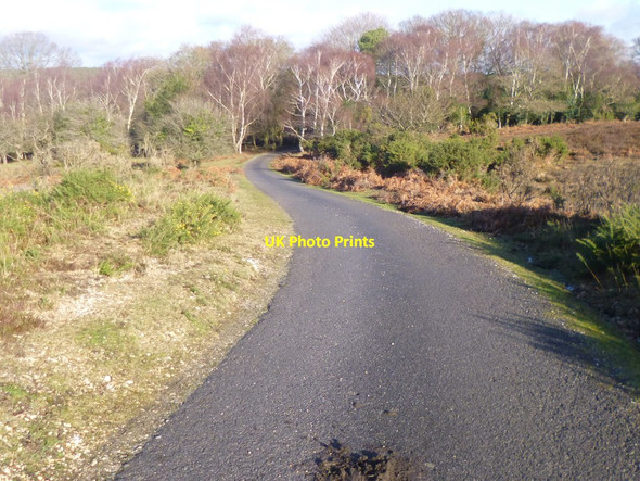 Photo 6"x4" Black Down, farm access road Ashurst\/SU3310 c2015