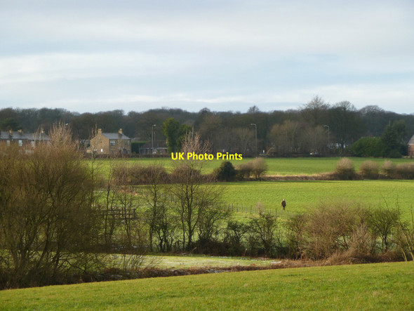 Photo 6"x4" Fields and footpaths at Longshaw Billinge c2015