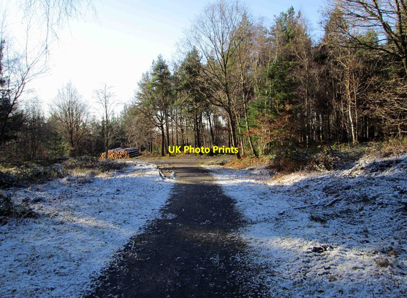 Photo 6"x4" A bridleway in winter in the Wyre Forest, near Buttonoak Buttonoak c2015