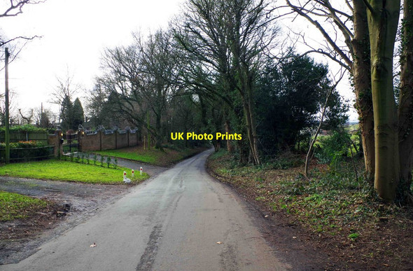 Photo 6"x4" North Worcestershire Path running along Sugar Loaf Lane, Iverley, Staffs Stourbridge c2015