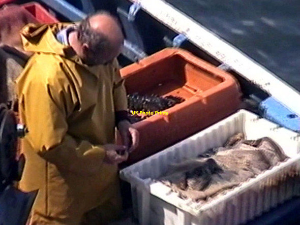 Photo 6"x4" Dunbar - 1999 Dunbar c1999