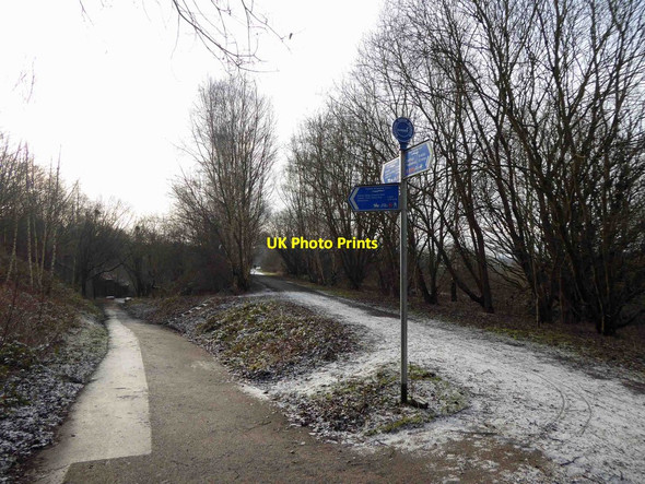 Photo 6"x4" The Trans Pennine Trail (TPT) at Rother Valley Holbrook\/SK4481 c2015