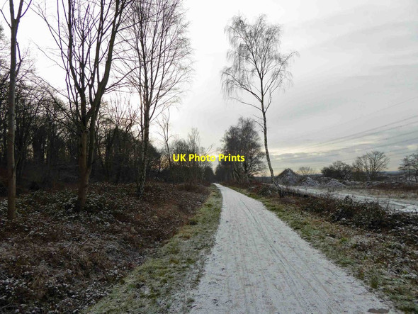 Photo 6"x4" Trans Pennine trail near Renishaw Renishaw c2015