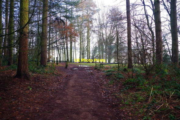 Photo 6"x4" North Worcestershire Path looking towards Blakeshall car park, Kingsford Country Park, near Blakeshall, Worcs Blakeshall c2014