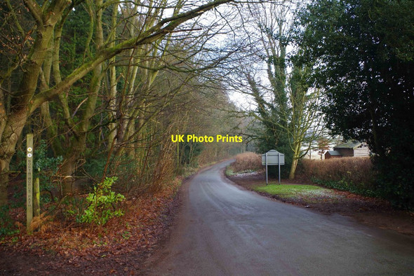 Photo 6"x4" Blakeshall Lane, Blakeshall, Worcs Blakeshall c2014
