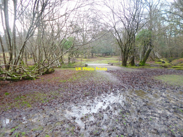 Photo 6"x4" Lyndhurst, bridge Clayhill\/SU3007 c2015