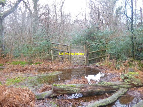 Photo 6"x4" Pondhead Inclosure, padlocked gate Clayhill\/SU3007 c2015