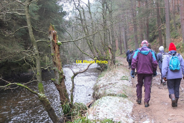 Photo 6"x4" Track by the North Esk, Penicuik Estate Penicuik c2015