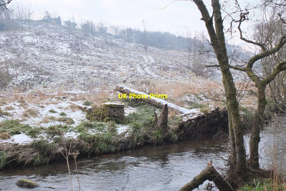 Photo 6"x4" North Esk and South Bank Wood Penicuik c2015