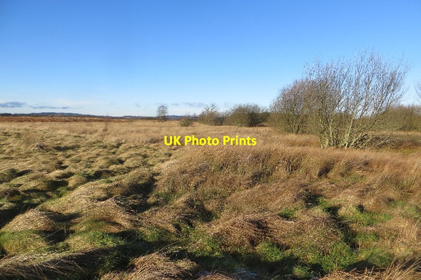 Photo 6"x4" Tents Muir Leuchars c2015