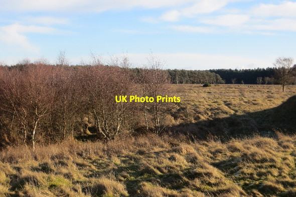 Photo 6"x4" Tents Muir Leuchars c2015 P1