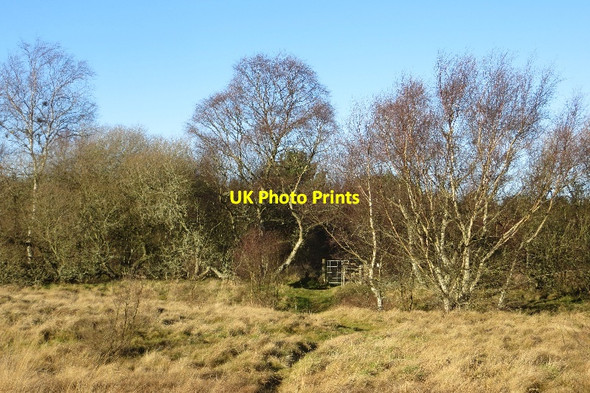 Photo 6"x4" Fife Coastal Path, Tents Muir Leuchars c2015