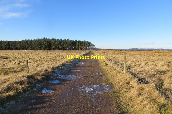 Photo 6"x4" Road, Tents Muir Leuchars c2015