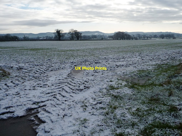 Photo 6"x4" Farmland south of Newton Lane [2] Gatesheath c2015