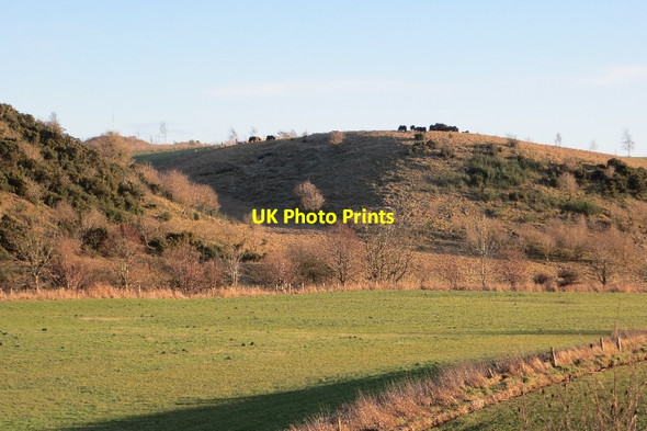 Photo 6"x4" Gallow Hill Carrick\/NO4422 c2015 P1