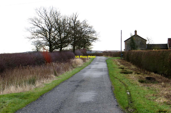 Photo 6"x4" Rural road to Marsh Gibbon Town's End\/SP6422 c2015