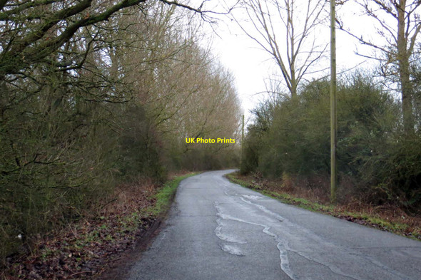 Photo 6"x4" Rural road to Piddington Blackthorn c2015