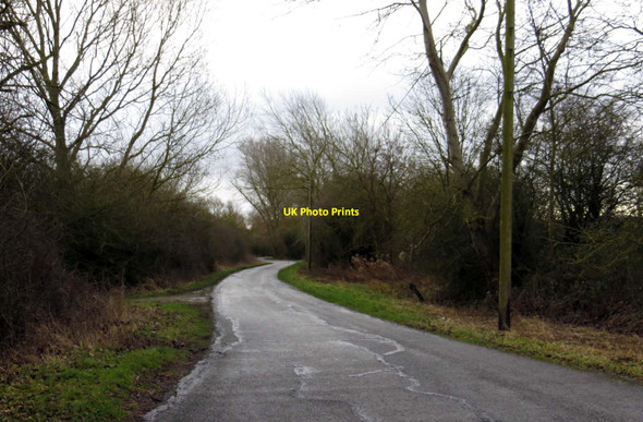 Photo 6"x4" Rural road to Piddington Blackthorn c2015 P1