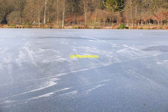 Photo 6"x4" High Pond in winter, Penicuik House Penicuik c2015