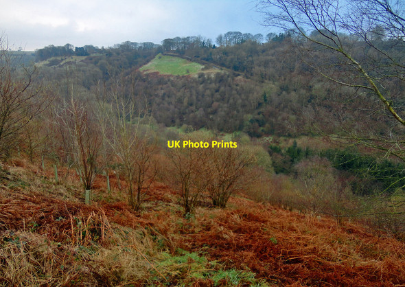 Photo 6"x4" Mill Bank Road View Levisham c2015