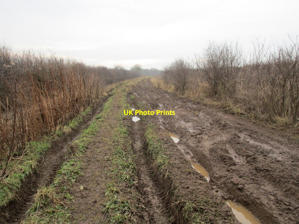 Photo 6"x4" Garton Balk (2) Elmswell\/SE9958 c2015