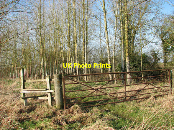 Photo 6"x4" Footpath to Swannington Hengrave\/TG1319 c2015