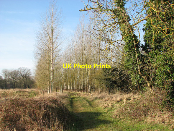 Photo 6"x4" Path from Haveringland to Swannington Hengrave\/TG1319 c2015